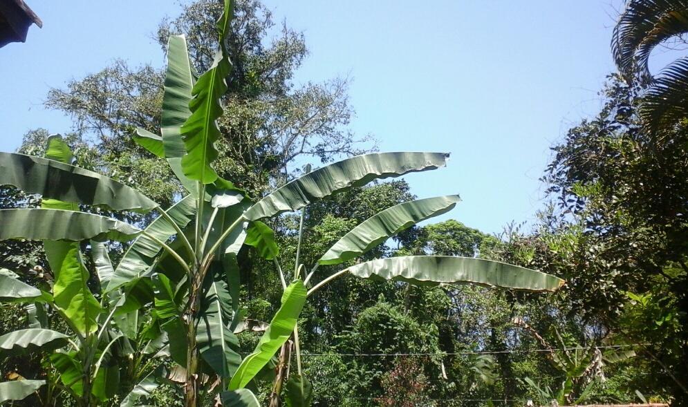Chales Bangalos Itamambuca Ubatuba Exterior foto