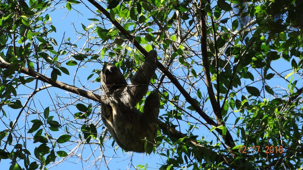 Chales Bangalos Itamambuca Ubatuba Exterior foto